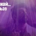 Попфолк класация 50-те най... 2026 (№39 - ГЛАСУВАНЕ